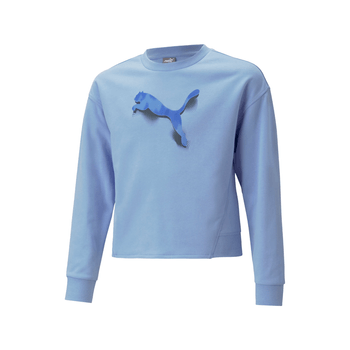 Sudadera Puma Entrenamiento Modern Sports Niña 673475 27