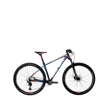 Bicicleta Belfort Montaña Alom Judy R-29 T19