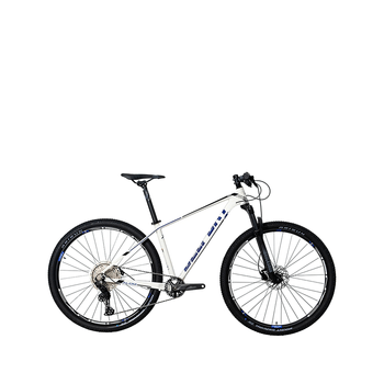 Bicicleta Belfort Montaña Alom Judy R-29 T19