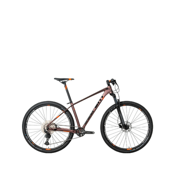 Bicicleta Belfort Montaña Alom Judy R-29 T19