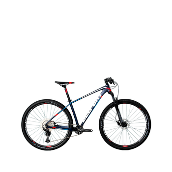 Bicicleta Belfort Montaña Alom Judy R-29 T17