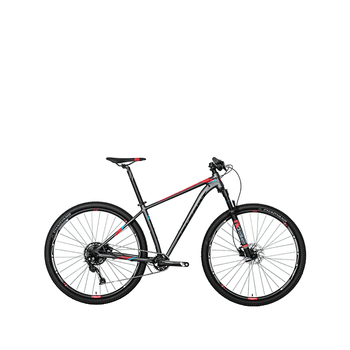 Bicicleta Belfort Montaña Coatl Rabe R-29 T19