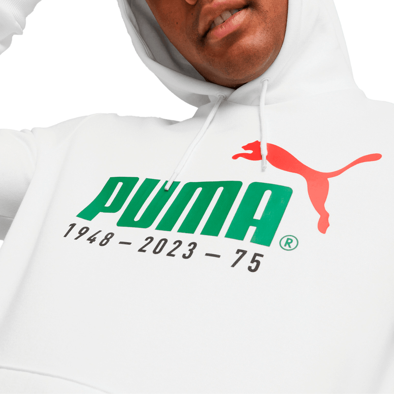 Sudadera Puma Casual Essentials+ Niño