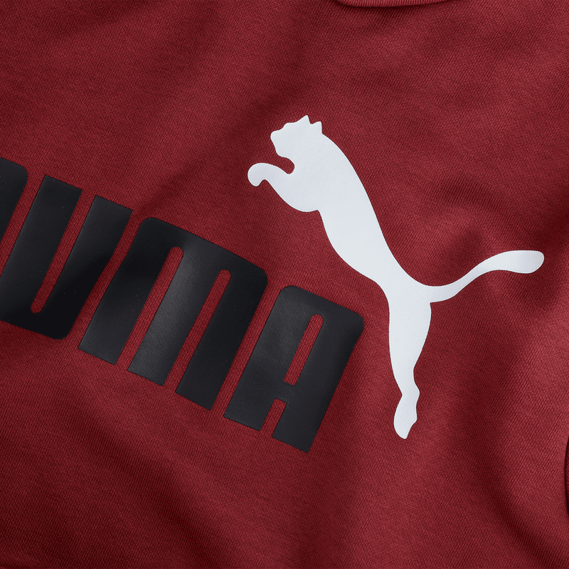 Sudadera Puma Casual Essentials+ Two-Tone Big Logo Hombre