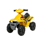 image-887ada3dff014f068a4d3a1328f10cda