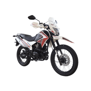 Motocicleta Dinamo Scorpion 200 Bl 2024