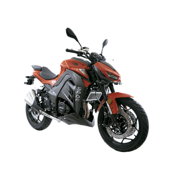 Motocicleta Dinamo Speed fire SPDF 250 Nr 2024