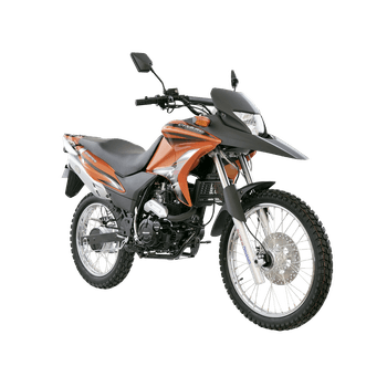 Motocicleta Dinamo Scorpion 250 Nr 2024