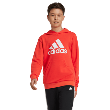 Sudadera adidas Essentials Big Logo Infantil Unisex IX9531