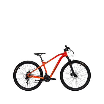 Bicicleta Mercurio Montaña RANGER TEAM R-29 Unisex