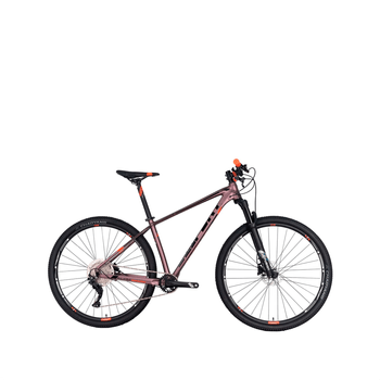 Bicicleta Belfort Montaña Alom SL B1 R-29 T17 Cob
