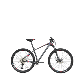 Bicicleta Belfort Montaña Zamna Comp B1 R-29 T19 Gra