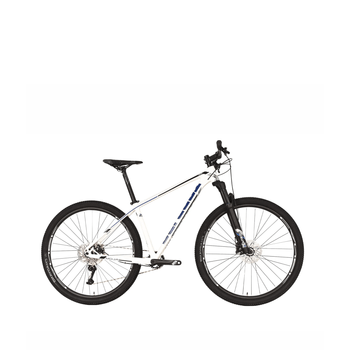 Bicicleta Belfort Montaña Alom SL B1 R-29 T17 Bla