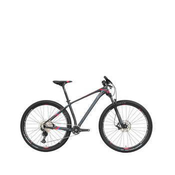 Bicicleta Belfort Montaña Zamna Comp B1 R-29 T17 Grafi