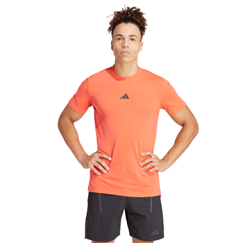 Playera adidas Entrenamiento Designed for Training Hombre IS3815