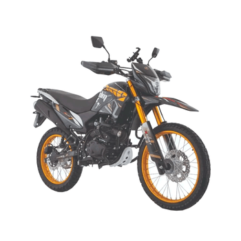 Motocicleta Italika DM300 DRD