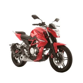 Motocicleta Italika VORT-X 300 RJ/NG