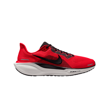 Tenis Nike Correr Pegasus 41 Hombre