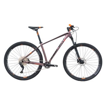 Bicicleta Belfort Montaña Alom Aerial R-29 T-17 2024 NRJ