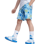1127977167-4.png