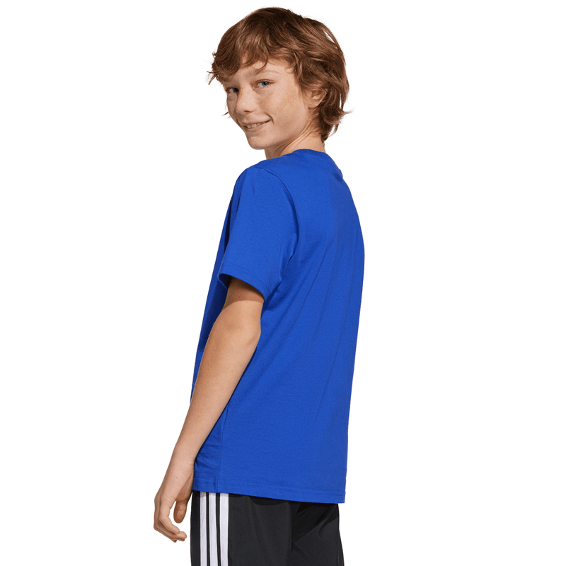1127978196-2.png