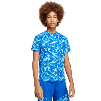 Playera adidas Essentials Sport Icons Niño JJ5048