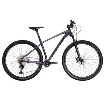 Bicicleta Belfort Montaña PPR NG Zamna Reba R29 T17