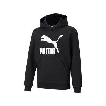 Sudadera Puma Casual Classics Logo Niño 530116 01