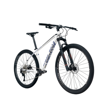 Bicicleta Belfort Montaña Alom Aerial R-29 T-17 2024 MRN