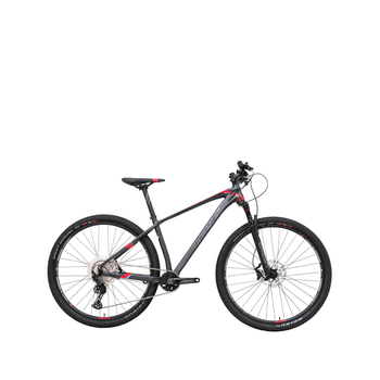 Bicicleta Belfort Montaña GRF Zamna Reba R29 T17