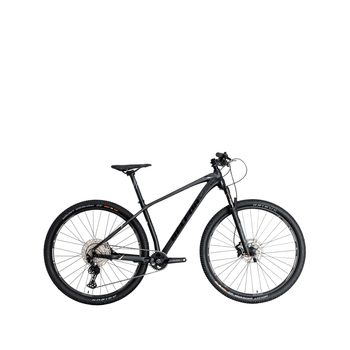 Bicicleta Belfort Montaña GR NG Zamna Reba R29 T17