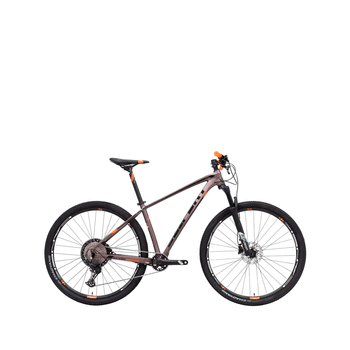 Bicicleta Belfort Montaña NG Alom Sl B2 R29 T17