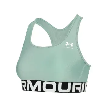 Sujetador Deportivo Under Armour HeatGear Mujer 1383544-348