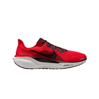 Tenis Nike Correr Pegasus 41 Hombre FD2722-602