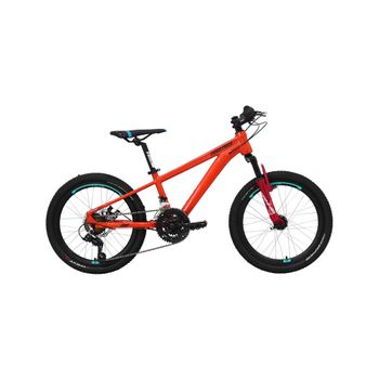 Bicicleta de Montaña V Industries 200 SL B1 T11 NR R20 Infantil Unisex