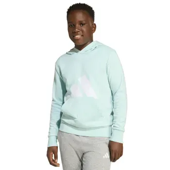 Sudadera adidas Essentials Infantil Unisex JW3462