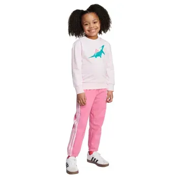 Conjunto Deportivo adidas Essentials Seasonal Adiraptor Infantil Unisex JV7950