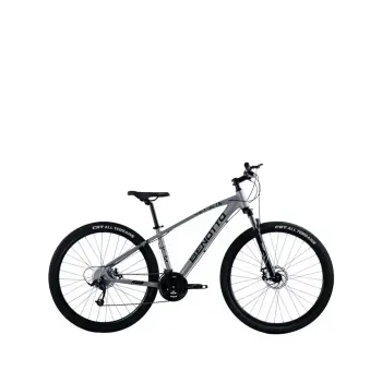 Bicicleta Benotto Montaña R29 GR FS-950