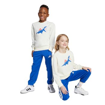 Conjunto Deportivo adidas Essentials Seasonal Adiraptor Infantil Unisex JV5848