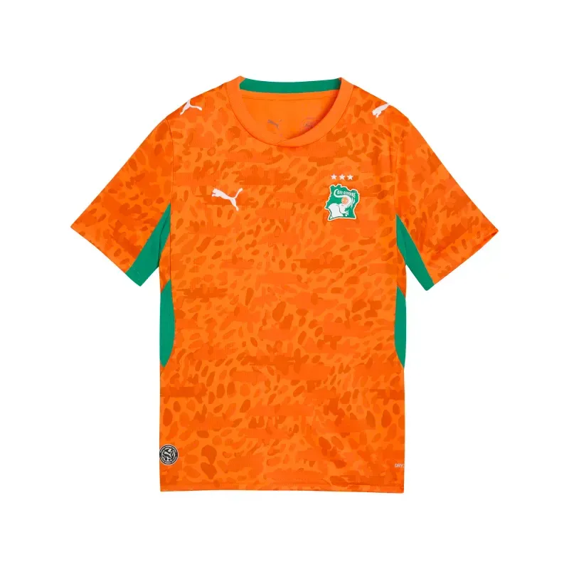 Jersey Puma Futbol Costa de Marfil Local Fan 2026 Niño 783184 01