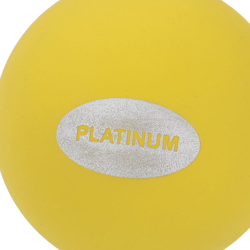 Pelota-Platinum-Frontenis-Pre-Olimpica