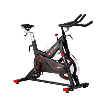 Bicicleta Spinning Windsor Fitness WFS01