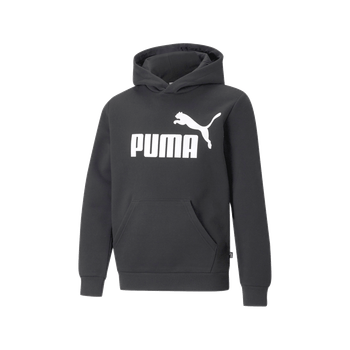 Sudadera Puma Casual Essentials Big Logo Niño 586965 01