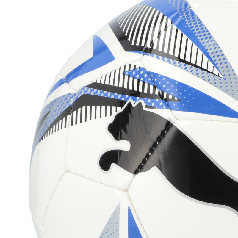 Puma Balon Futbol Ftblplay Big Cat 5