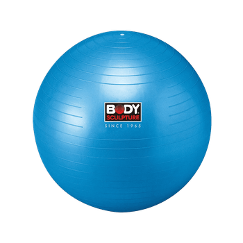Pelota Body Sculpture Yoga Gym 65 cm