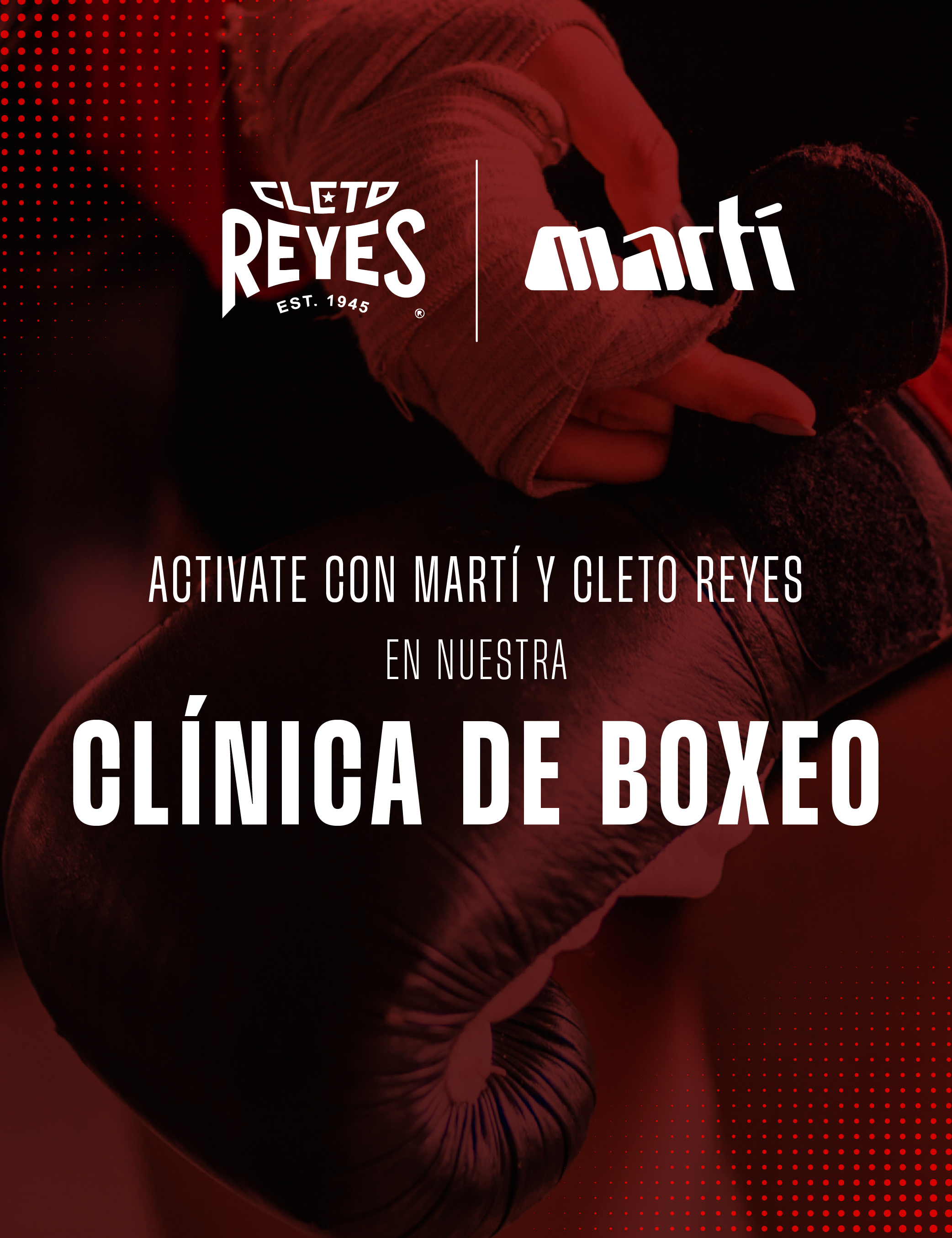 Ver productos
